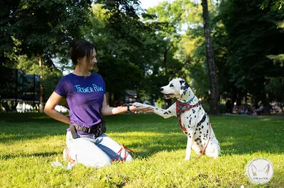 Behawiorysta Twojego Psa